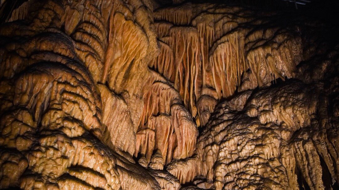 Best Cave Experiences in Tasmania; Things to do in Australia